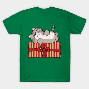 Cat on Gift Package T-Shirt